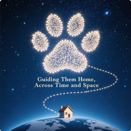 MyPetPersonal