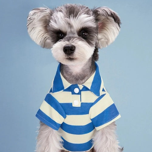 Summer Pet Polo Shirt – Casual Cotton T-Shirt for Small & Large Dogs and Cats (Chihuahua, Pug, Yorkie)