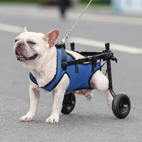Adjustable Dog Wheelchair – Lightweight Mobility Cart for Injured or Disabled Pets