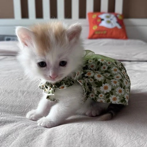 Summer Cotton Suspender Dress for Sphynx Cats – Floral Princess Skirt for Dogs & Cats