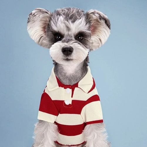 Summer Pet Polo Shirt – Casual Cotton T-Shirt for Small & Large Dogs and Cats (Chihuahua, Pug, Yorkie)