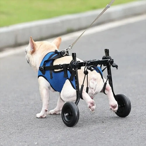 Adjustable Dog Wheelchair – Lightweight Mobility Cart for Injured or Disabled Pets