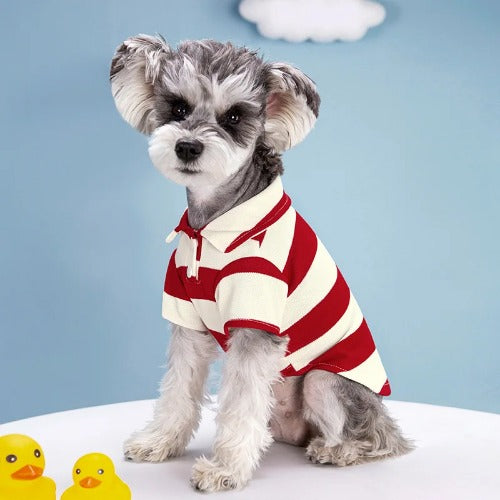 Summer Pet Polo Shirt – Casual Cotton T-Shirt for Small & Large Dogs and Cats (Chihuahua, Pug, Yorkie)