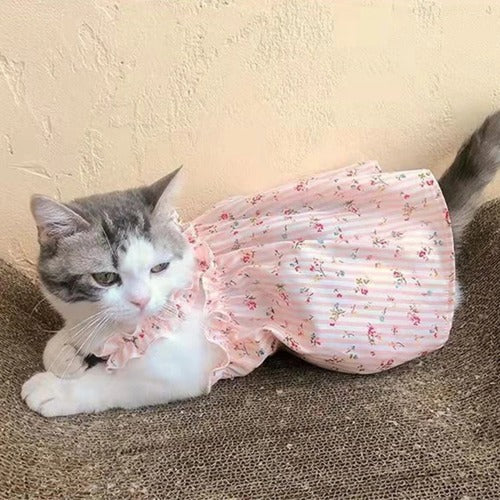 Summer Cotton Suspender Dress for Sphynx Cats – Floral Princess Skirt for Dogs & Cats