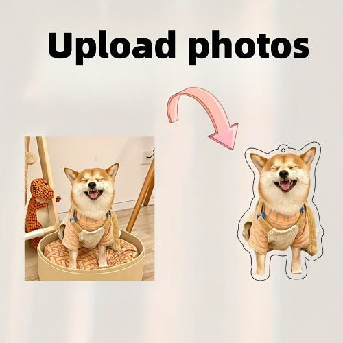 Dog in a sweater with an 'Upload photos' text overlay and a pink arrow pointing to the dog.