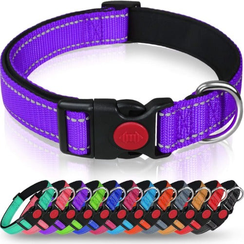 Reflective Dog Collar with Adjustable Nylon Webbing - Explosion-Proof Safety Collar Set for Night Walks