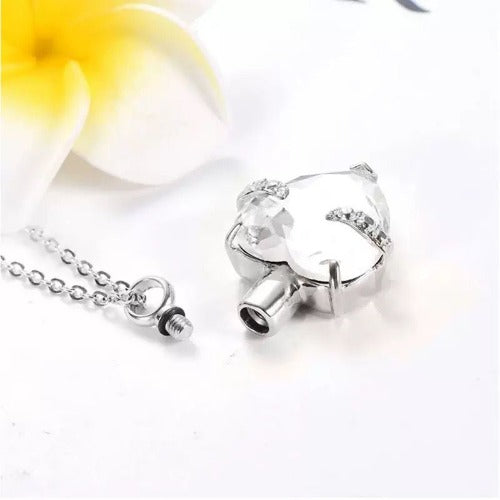 Heart Cremation Urn Necklace for Ashes – Stainless Steel Memorial Locket with Crystal Heart, Keepsake Pendant “Always on My Mind, Forever in My Heart”