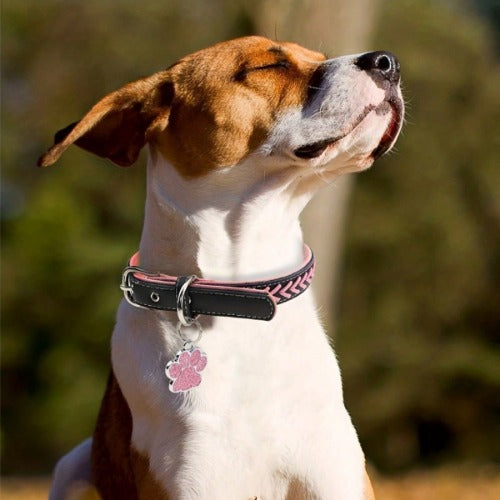 Personalized Pet Safety Tag - Custom Engraved ID for Dogs & Cats - Never Lose Your Friend
