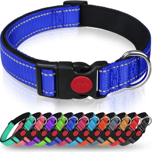 Reflective Dog Collar with Adjustable Nylon Webbing - Explosion-Proof Safety Collar Set for Night Walks