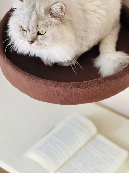 Adjustable Desktop Cat Bed with Climbing Frame – Soft Nest for Indoor Cats & Kittens