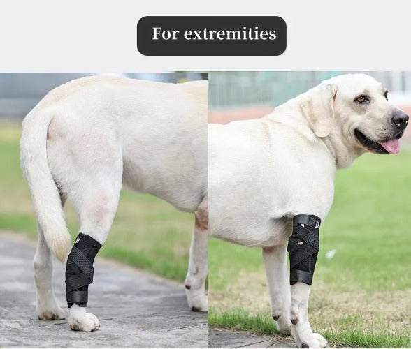 Updated Dog Leg Support & Arthritis Protector – Protective Bandage, Hock Joint Brace, Knee Pads for Injury Recovery