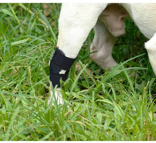 Updated Dog Leg Support & Arthritis Protector – Protective Bandage, Hock Joint Brace, Knee Pads for Injury Recovery