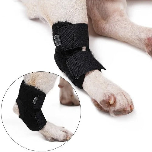 Updated Dog Leg Support & Arthritis Protector – Protective Bandage, Hock Joint Brace, Knee Pads for Injury Recovery