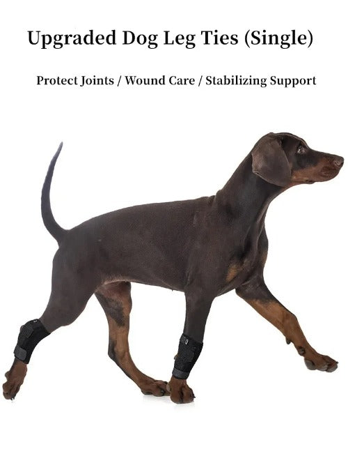 Updated Dog Leg Support & Arthritis Protector – Protective Bandage, Hock Joint Brace, Knee Pads for Injury Recovery