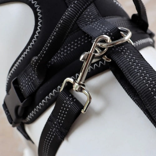 Close-up of a black dog harness with a metal clasp on a white background