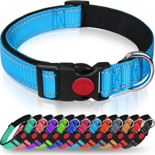 Reflective Dog Collar with Adjustable Nylon Webbing - Explosion-Proof Safety Collar Set for Night Walks