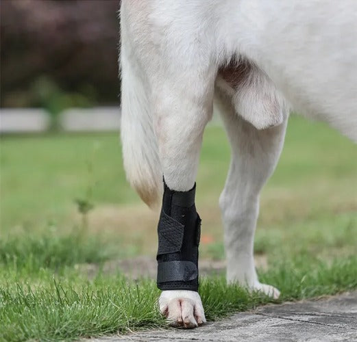 Updated Dog Leg Support & Arthritis Protector – Protective Bandage, Hock Joint Brace, Knee Pads for Injury Recovery