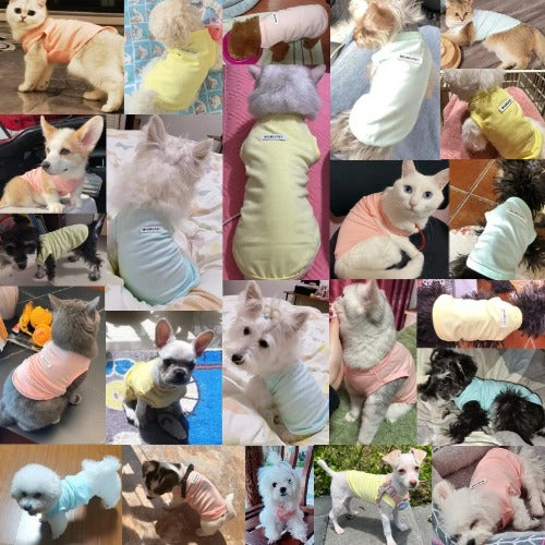 Summer Cotton Dog Vest – Breathable Solid Color Pet Shirt for Chihuahua, Yorkie, Bichon, and Small Dogs