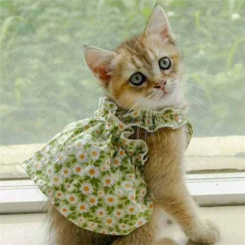 Summer Cotton Suspender Dress for Sphynx Cats – Floral Princess Skirt for Dogs & Cats