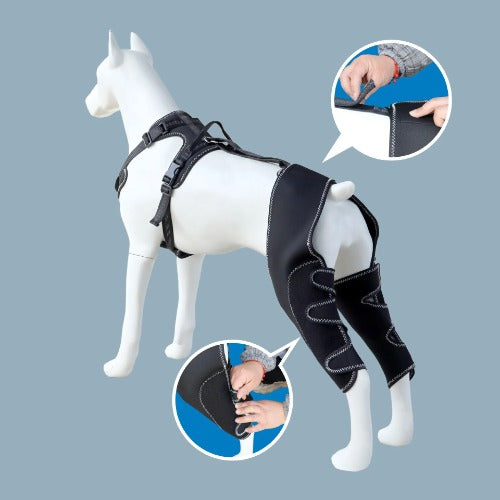 Horse wearing a black leg guard with close-up insets of hands adjusting it on a gray background.