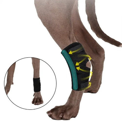 Updated Dog Leg Support & Arthritis Protector – Protective Bandage, Hock Joint Brace, Knee Pads for Injury Recovery