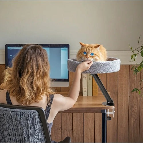 Adjustable desktop cat bed with soft round nest for indoor cats
