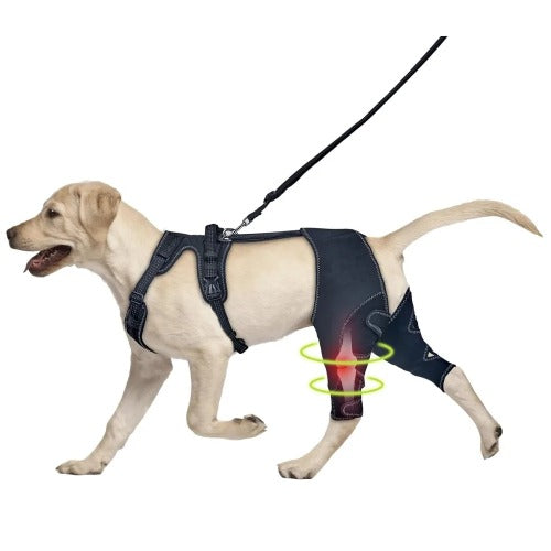 Adjustable dog hip and knee brace for large dogs — joint support & lick prevention