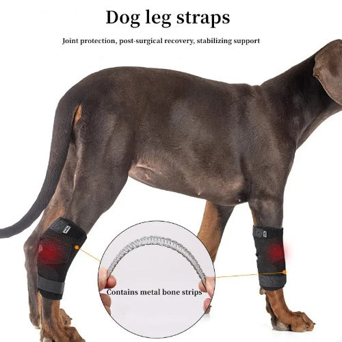 Updated Dog Leg Support & Arthritis Protector – Protective Bandage, Hock Joint Brace, Knee Pads for Injury Recovery