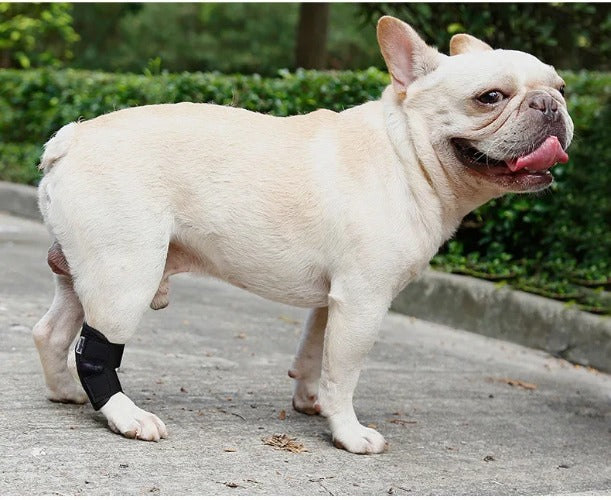 Updated Dog Leg Support & Arthritis Protector – Protective Bandage, Hock Joint Brace, Knee Pads for Injury Recovery