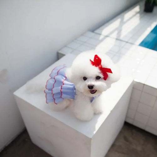 Summer Pet Princess Dress – Cute Skirt for Dogs & Cats (Chihuahua, Teddy, Puppy)