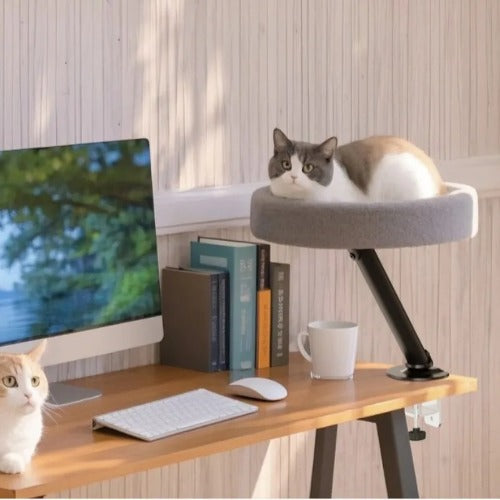 Cat sleeping on elevated desk bed beside computer monitor