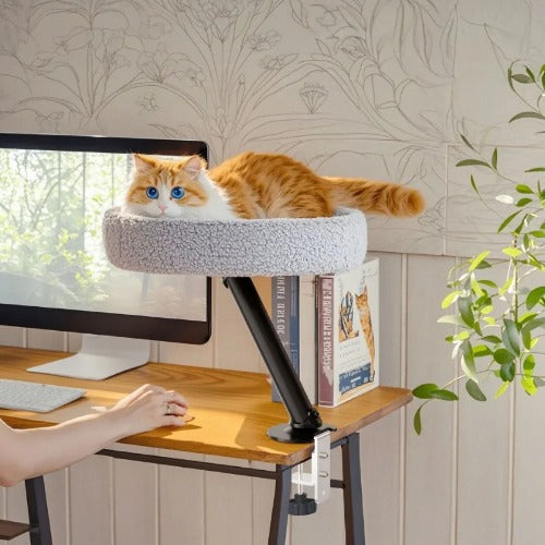 Adjustable Desktop Cat Bed with Climbing Frame – Soft Nest for Indoor Cats & Kittens