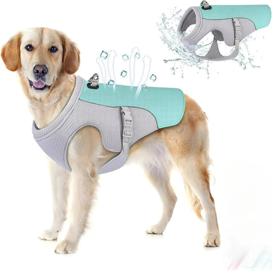 Small dog wearing cooling vest harness outdoors in summer
