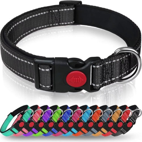 Reflective Dog Collar with Adjustable Nylon Webbing - Explosion-Proof Safety Collar Set for Night Walks