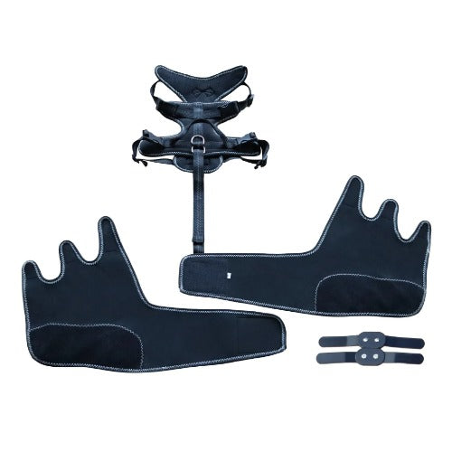 Black equestrian bridle and noseband set on a white background