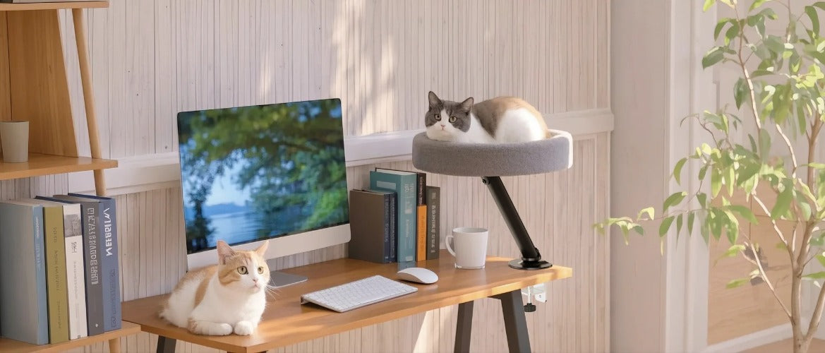 Adjustable Desktop Cat Bed with Climbing Frame – Soft Nest for Indoor Cats & Kittens