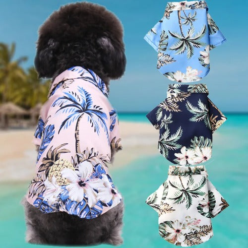 Small dog wearing Hawaiian summer T-shirt outdoors – breathable and lightweight pet clothes