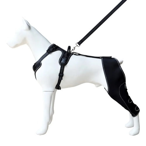 Soft breathable neoprene padding and secure fasteners on dog joint brace