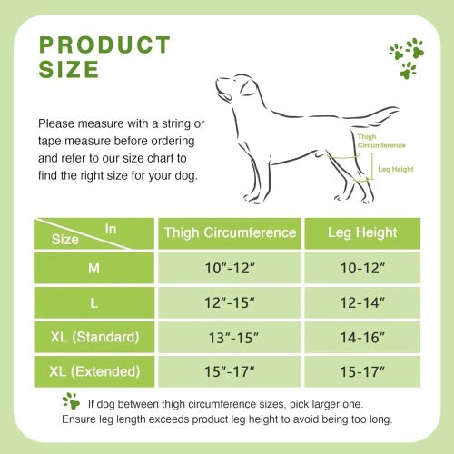 How to measure your dog for hip and knee brace — size guide infographic