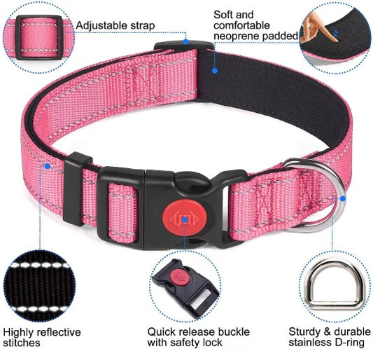 Glowing reflective dog collar visible in darkness with LED attachment