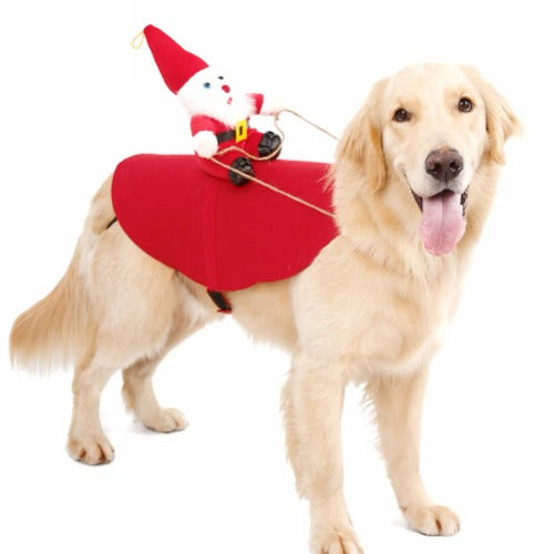 Golden Retriever wearing Santa Claus sleigh costume outdoors