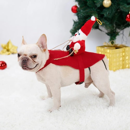 Santa Sleigh Ride Christmas costume for dogs and cats - front view