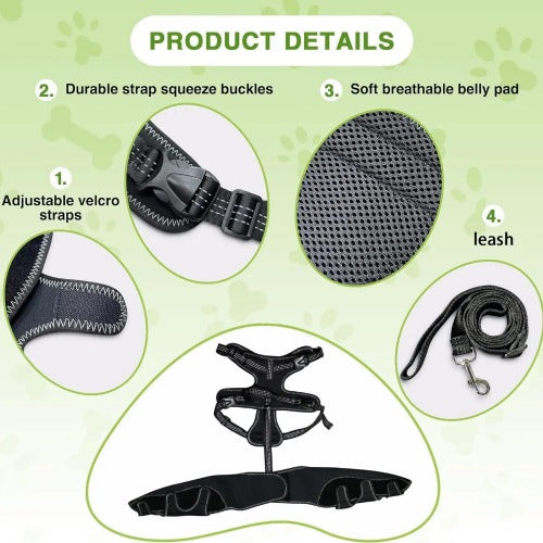 Traction rope and attachment detail on dog brace — adjustable support